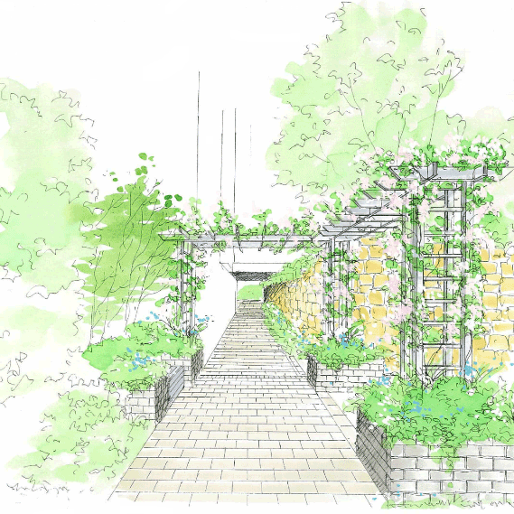 お庭のスケッチ5